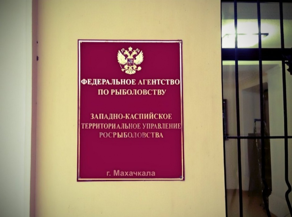 У астраханца на рыбалке возникли крупные проблемы