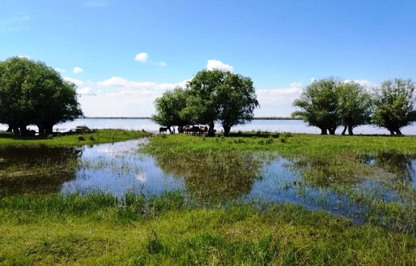 Выходим на рыбную полку: Волгоградская ГЭС снижает сбросы воды