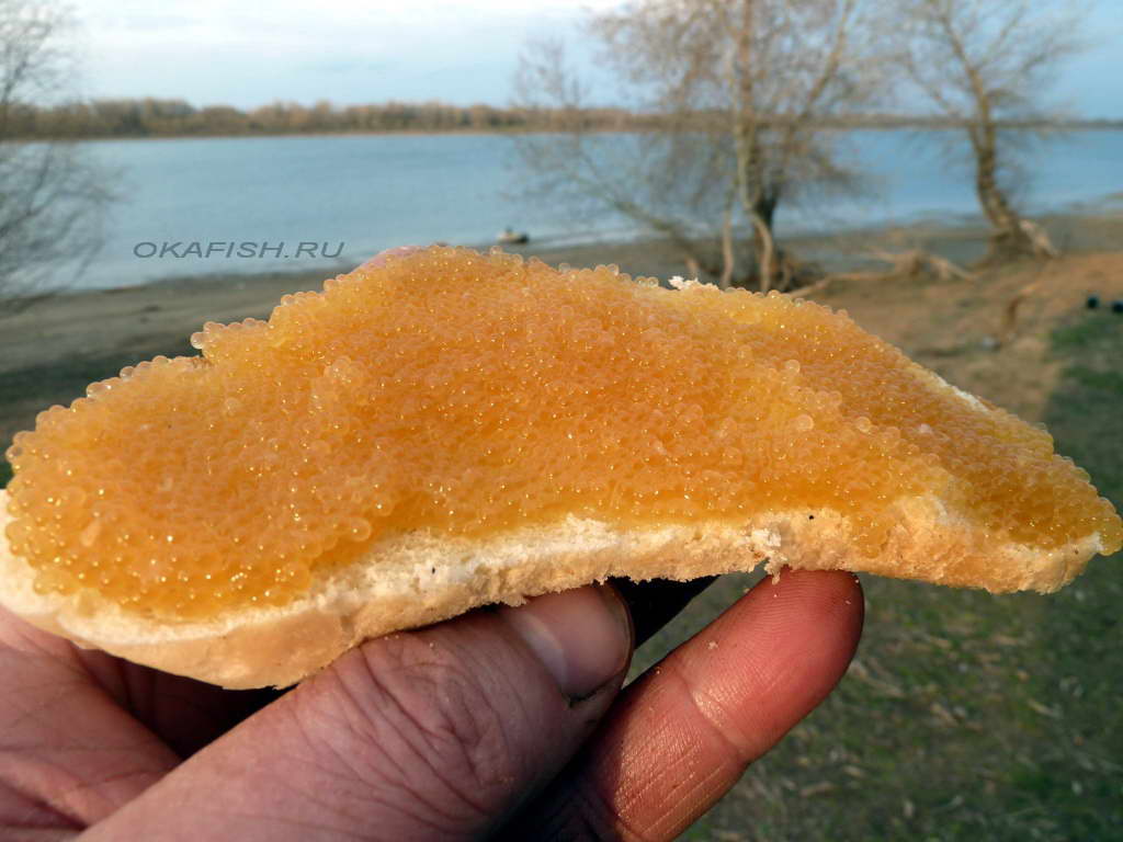 Цена на щучью икру может побить исторический максимум