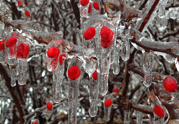 В Астраханской области столбик термометра упадет до минус 10