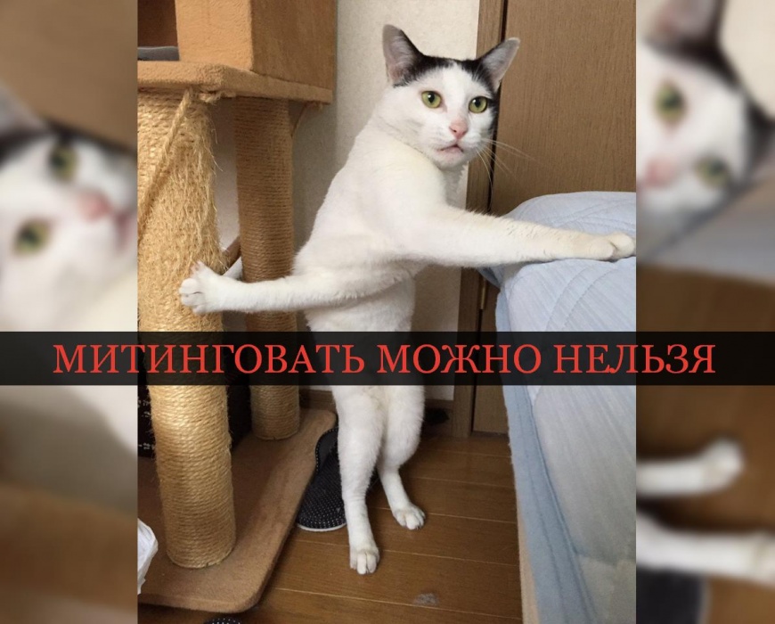 Митинговать под окнами кабинета Игоря Бабушкина будет "можно, но нельзя"