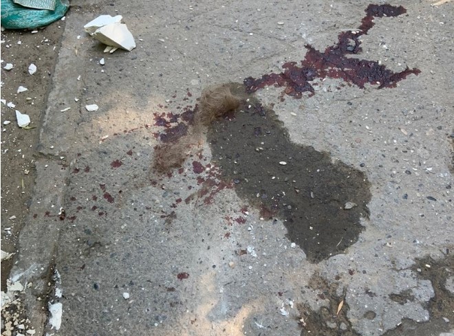 Новые подробности в деле об упавшем на голову астраханке гипсокартоне 