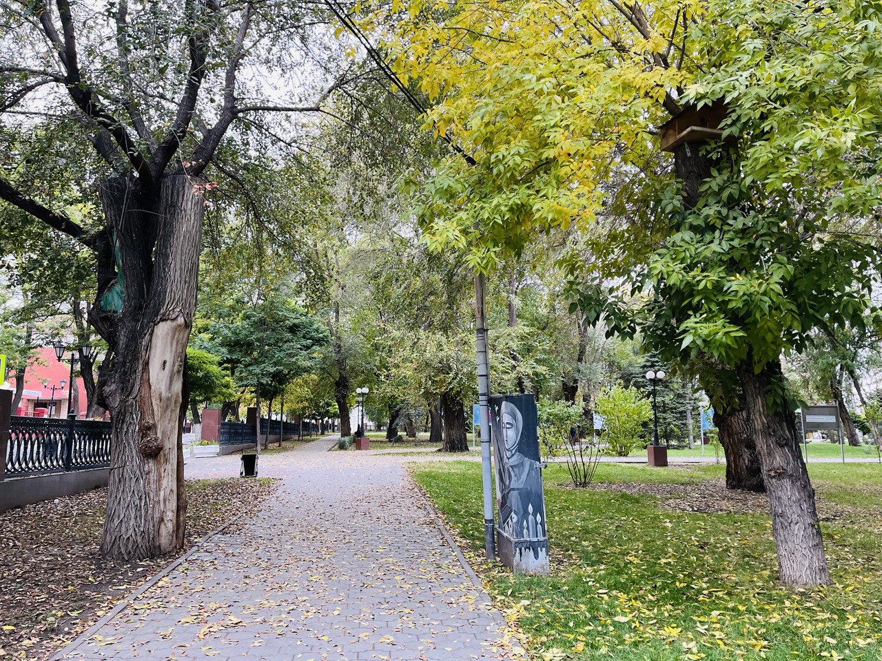 Рабочая неделя в Астраханской области завершится осадками