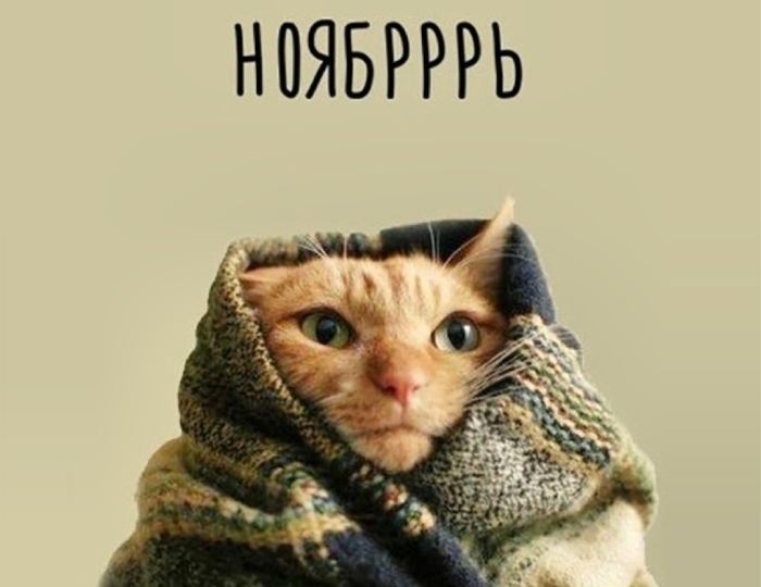 Нерешительное наступление зимы: погода в Астрахани на завтра