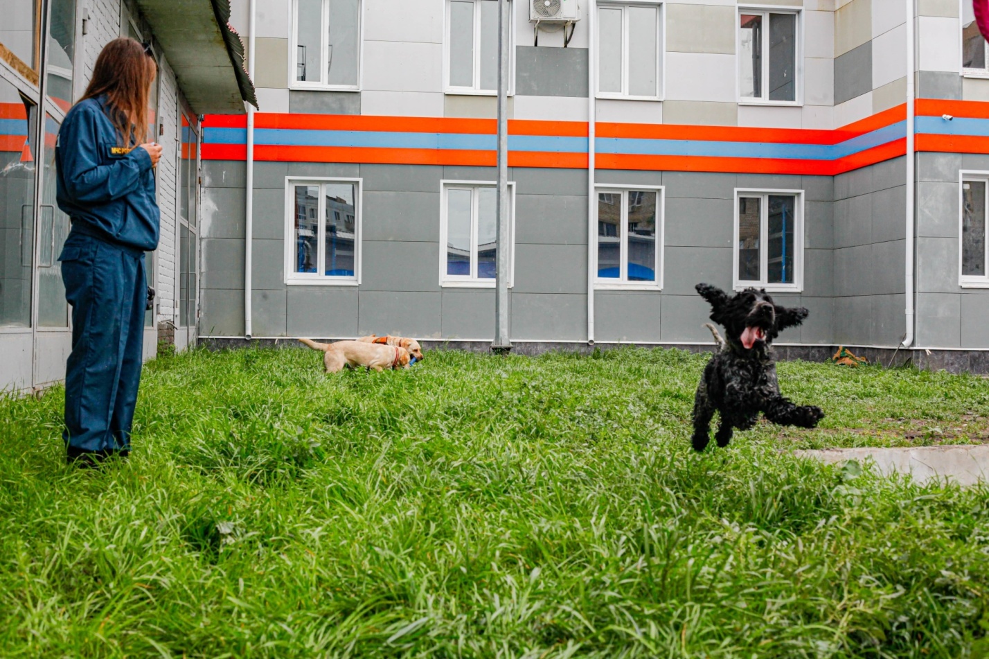 Ряды астраханских спасателей в скором времени пополнит Веня