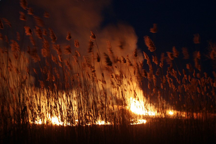 В Астрахани вновь может пахнуть гарью