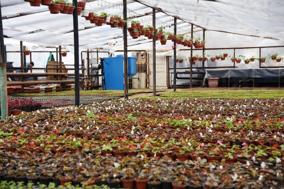 В Астрахани из древесных опилок производится топливо