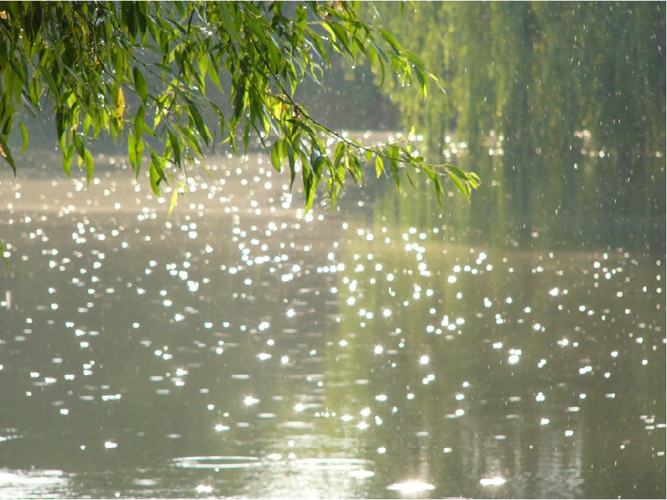 Синоптики обещают астраханцам в среду дождь