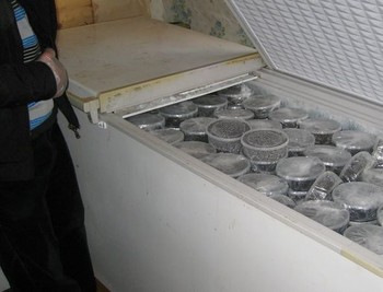 В холодильнике у двух астраханцев нашли 311 тушек осетра