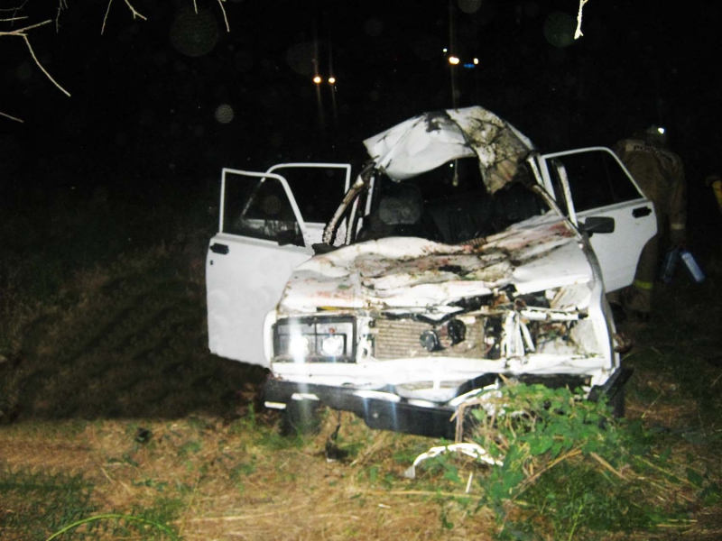  В Астраханской области автомобиль сбил лошадь: водитель пострадал, животное погибло