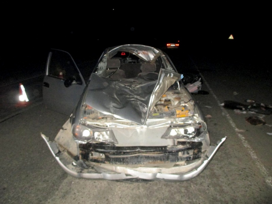 В Астраханской области лошадь расплющила иномарку всмятку, есть пострадавшие