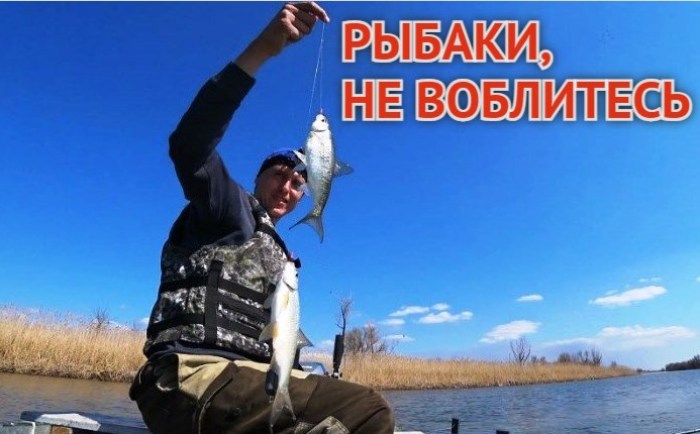 Пока Астраханской области хотят помочь с воблой только запретом