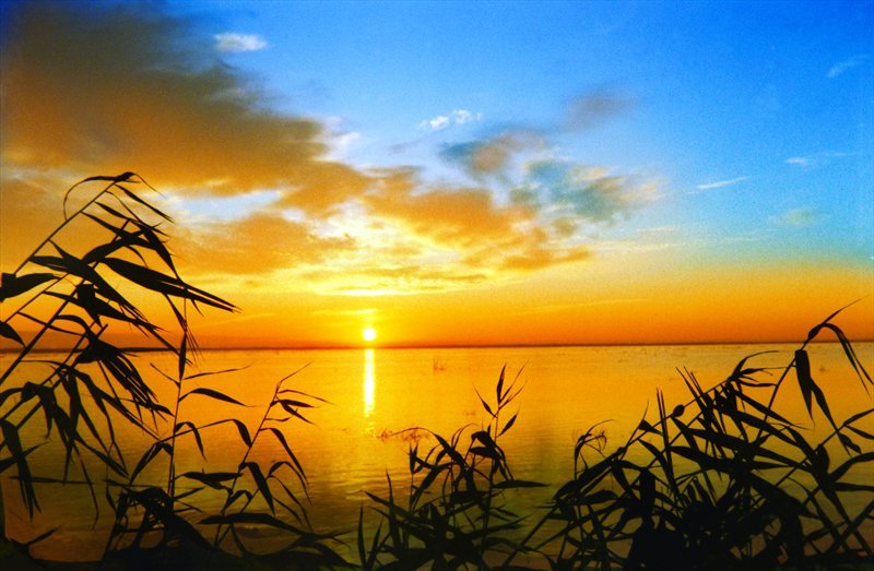 Астраханская область ожидает приток туристов из Китая