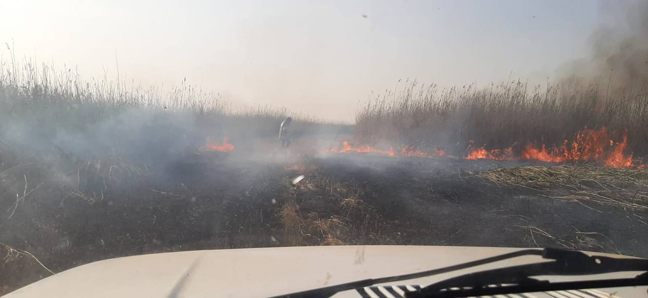 В Астраханской области горит биосферный заповедник
