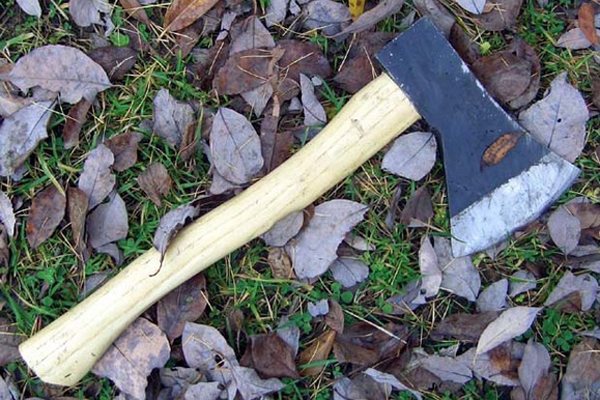 Под Астраханью браконьер набросился с топором на полицейского