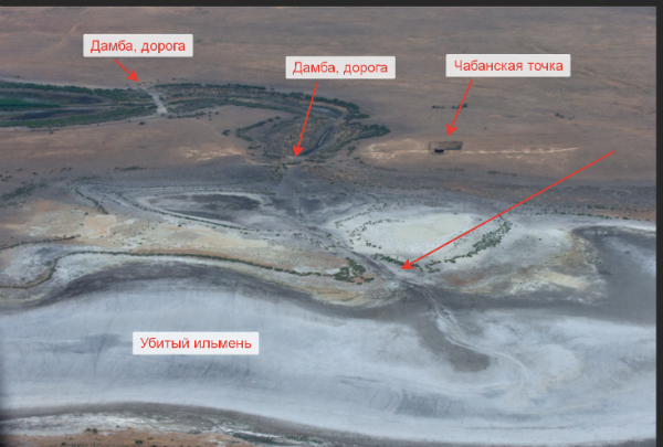 Трагедия Западно-Подстепных-Ильменей