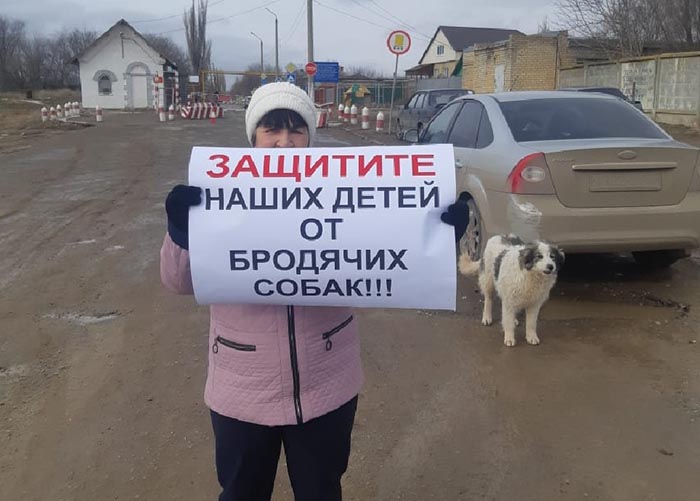 В Ахтубинском районе прошли одиночные пикеты против бездомных собак