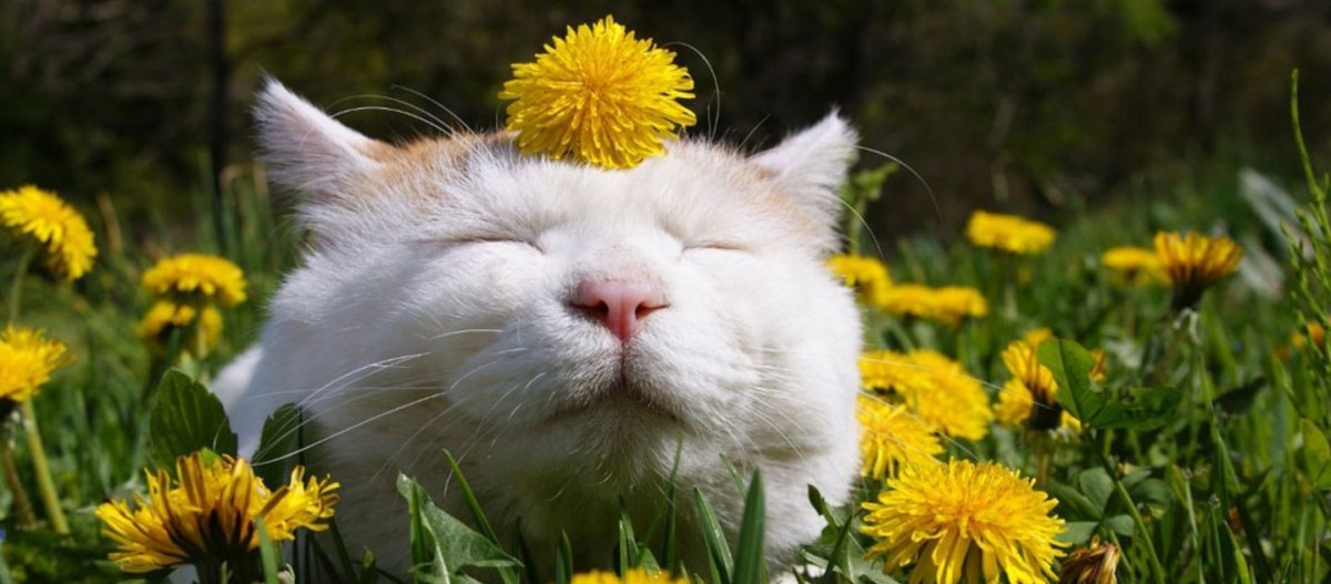 Астраханская погода готовит на майские праздники приятный сюрприз