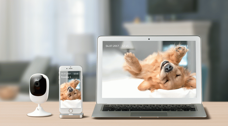 Домашнее видеонаблюдение от «Ростелекома» в один клик и по специальной цене – акция продлена до конца весны