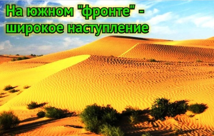 Они наступают! Пустыни продолжают захватывать Астраханскую область