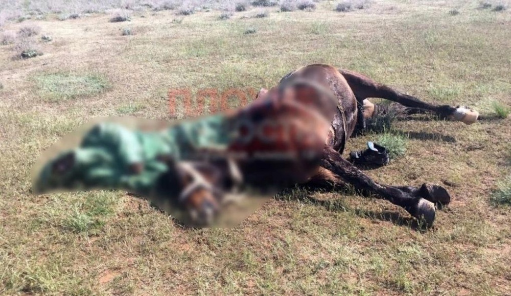 В Астраханской области молния убила пастуха и его лошадь