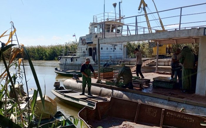 В осеннюю путину Служба занятости уже трудоустроила более 700 астраханцев