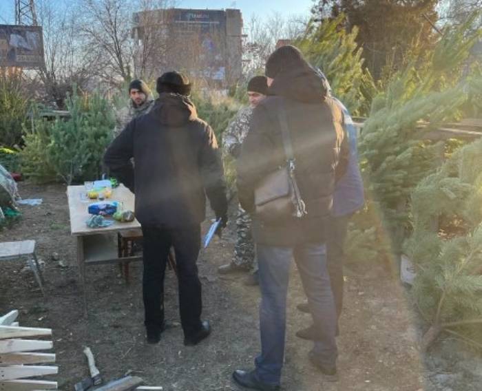 В Астрахани орудуют черные ёлочники