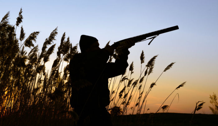 Двух астраханцев лишили права на охоту из-за нарушений