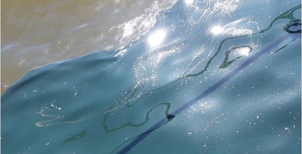 В Астрахани зафиксирован выброс нефтепродуктов в Волгу