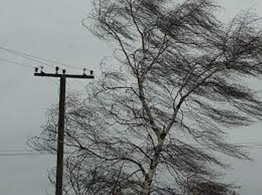 В Астрахани и области ожидается сильный ветер