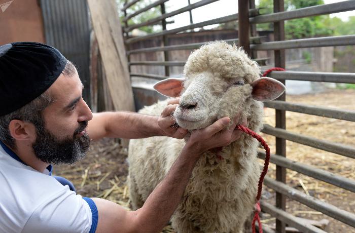 Где в Астрахани можно будет сделать жертвоприношение на Курбан-байрам