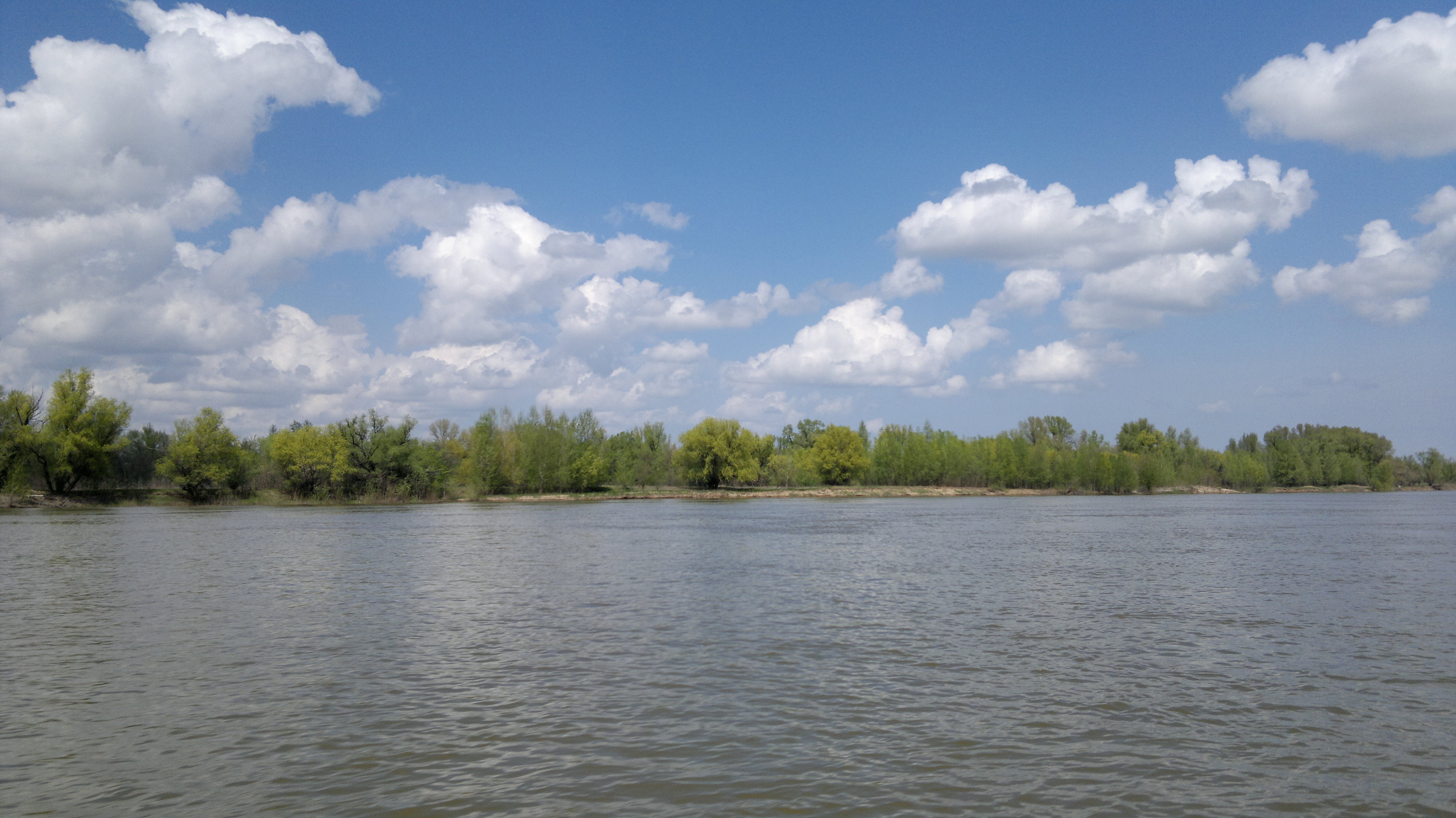 Половодье в Астрахани закончится в середине августа