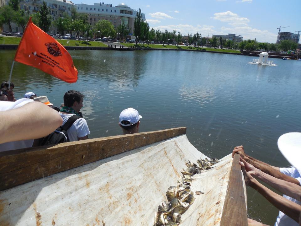 В Лебединое озеро выпустили рыбу