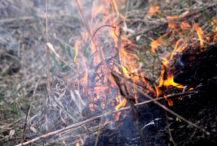 В Астраханской области преобладает пожароопасность пятого класса
