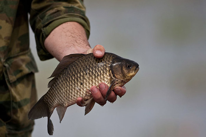 В Астраханской области начинает действовать нерестовый запрет на рыбалку