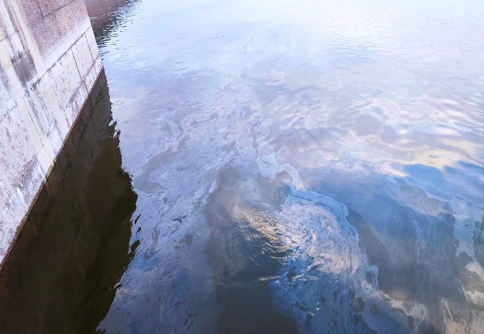 Волгу в Астрахани снова испачкали нефтепродуктами