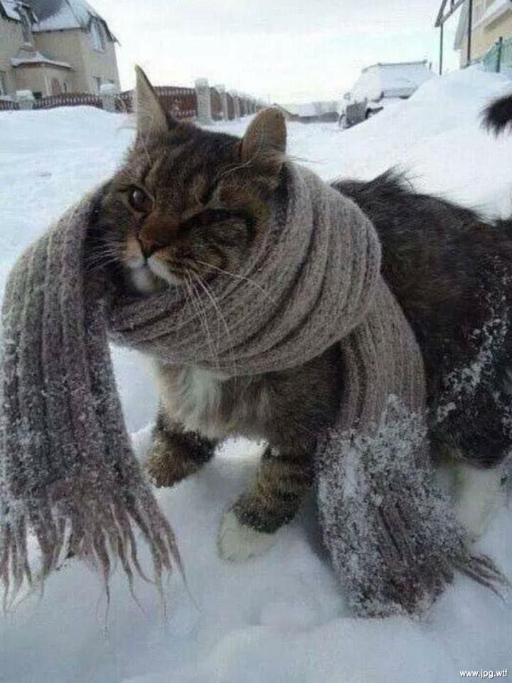 Астраханцам обещают мокрый снег, гололед и холодные ночи