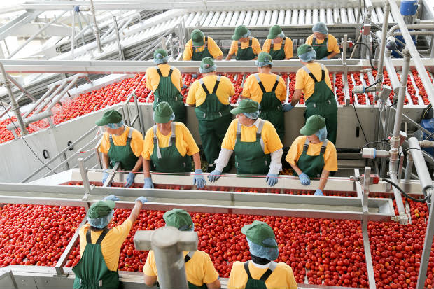 Астраханский завод томат-пасты удвоил мощности