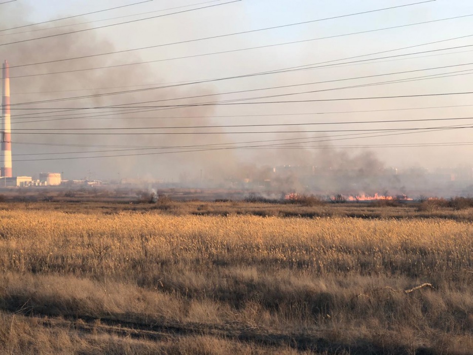 Масштабный пожар в Астрахани: горят камыши