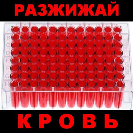 В Астрахани прошла социальная акция по проверке свертываемости крови «День МНО»