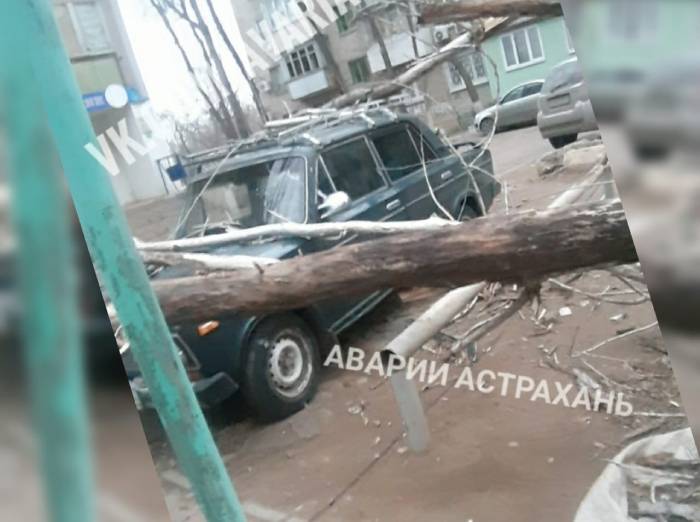 Ураган в Астрахани валит деревья и портит машины