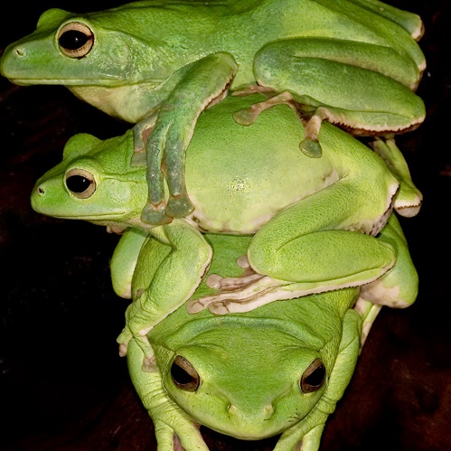 Мэрская жуть: Неужели градоначальников и гордумы будут разгонять?