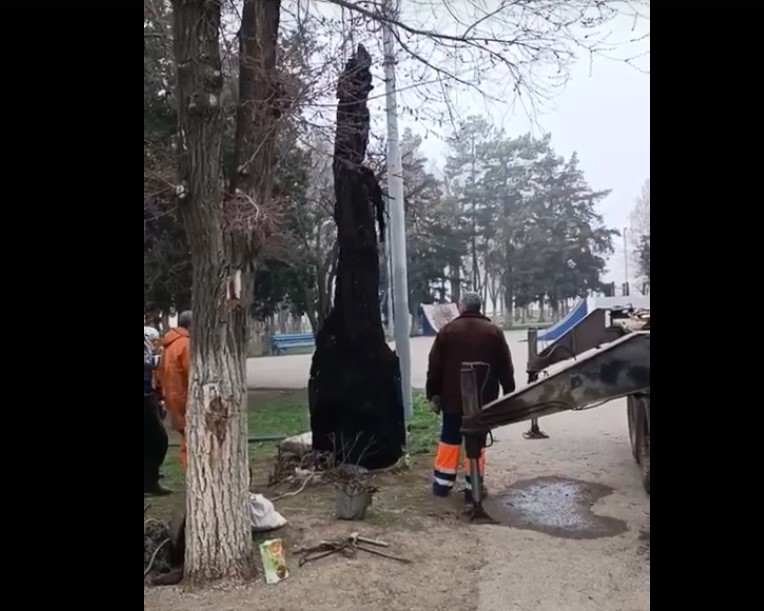 Стало известно, что за монстра извлекли из астраханской канализации