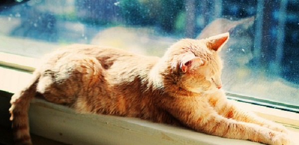 Во вторник астраханцам обещают очень теплый денек