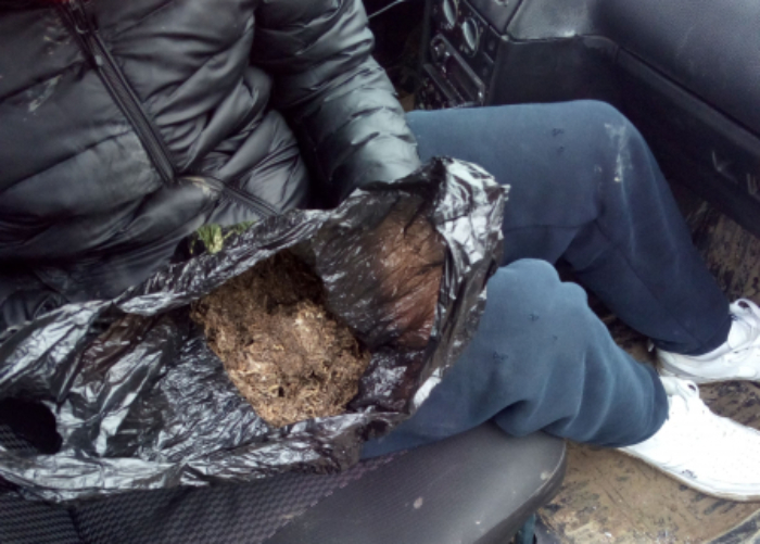 Под Астраханью полицейские обнаружили у наркодилера-рецидивиста крупную партию конопли