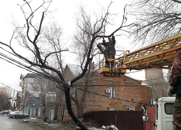 Ветер повалил в Астрахани 90 деревьев, сломал 32 светофора, обесточил объекты Астрводоканала