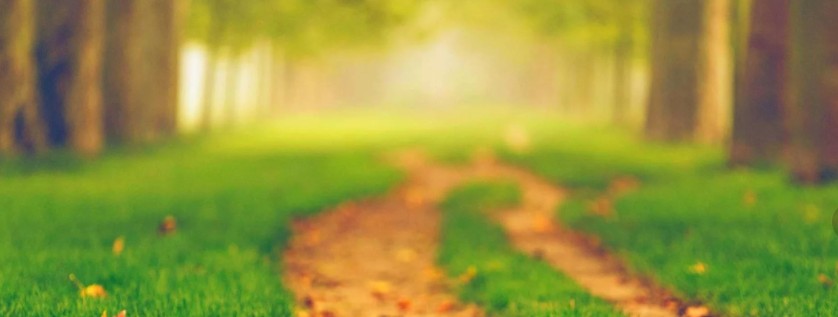 Теплые солнечные деньки не покидают Астрахань