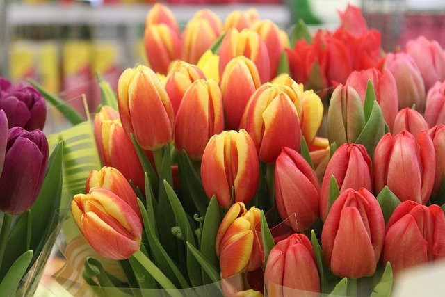 В этом году на цветы и подарки к 8 марта астраханцы потратили больше денег, чем в прошлом