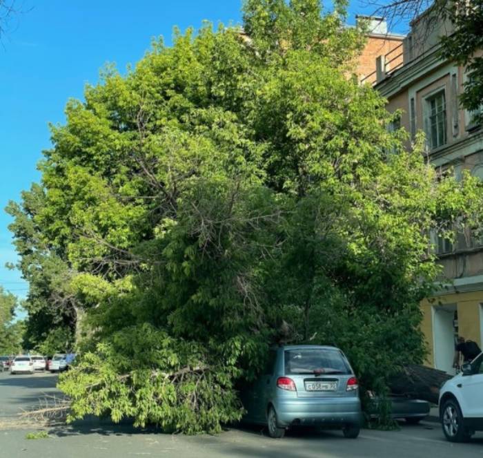 Фото дня в Астрахани: когда увидел знакомых и не хочешь общаться