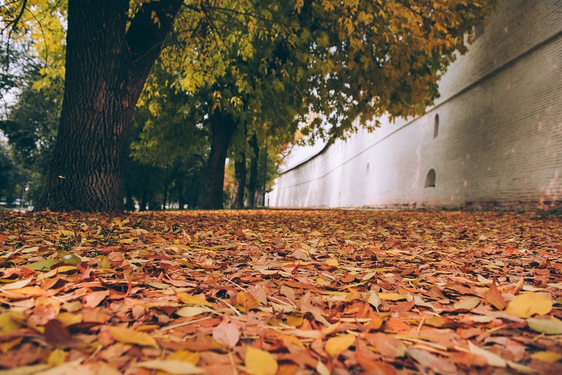 Завтра в Астрахани - последний теплый день